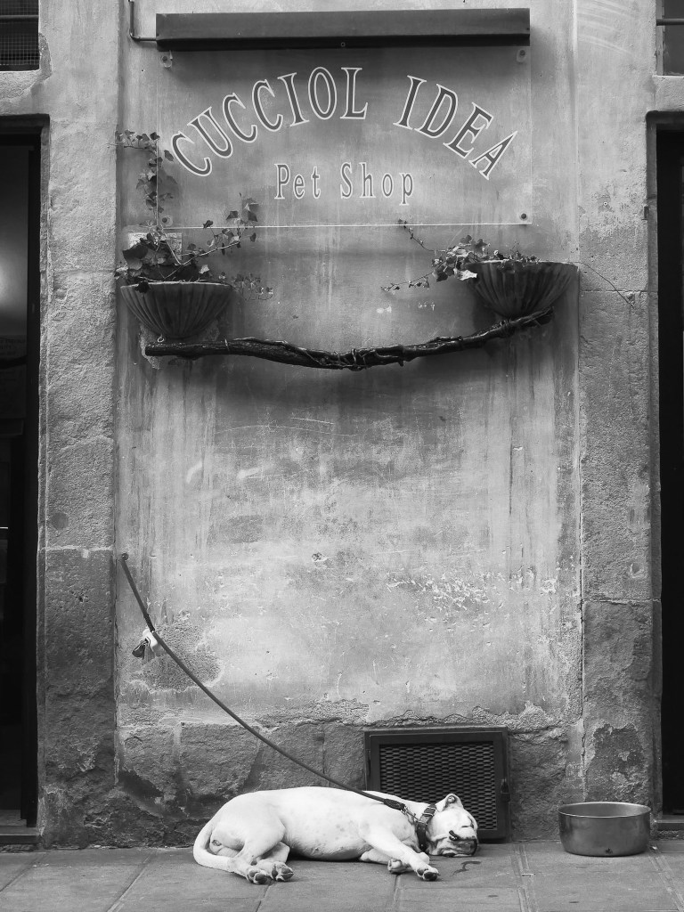 Toscane_5b